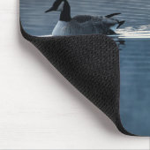 Twee Canadese ganzen op de Muismat van het meer (Hoek)