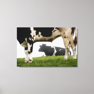 twee canvas afdruk