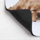 Twee Cavalier King Charles Spaniel puppies Muismat (Hoek)