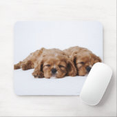 Twee Cavalier King Charles Spaniel puppies Muismat (Met muis)