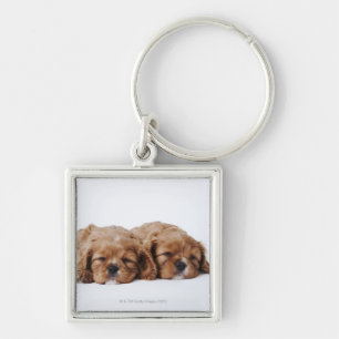 Twee Cavalier King Charles Spaniel puppies Sleutelhanger