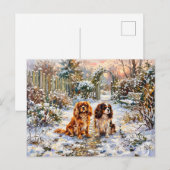 Twee Cavalier Spaniels op winterpad Briefkaart (Voorkant / Achterkant)