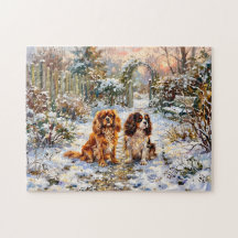 Twee Cavalier Spaniels op winterpad