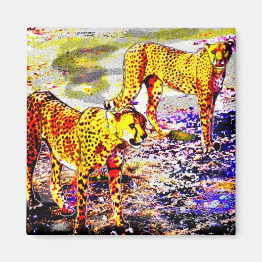 Twee Cheetahs Magneet (Voorkant)