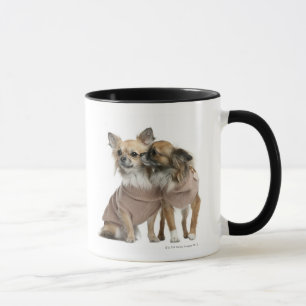Twee Chihuahuas verkleed (2 jaar oud) Mok