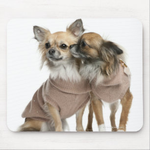Twee Chihuahuas verkleed (2 jaar oud) Muismat