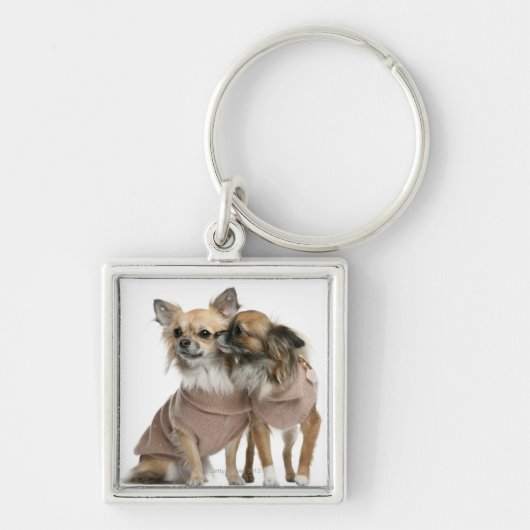 Twee Chihuahuas verkleed (2 jaar oud) Sleutelhanger (Voorkant)