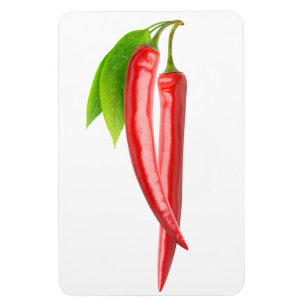Twee chillies met blad magneet