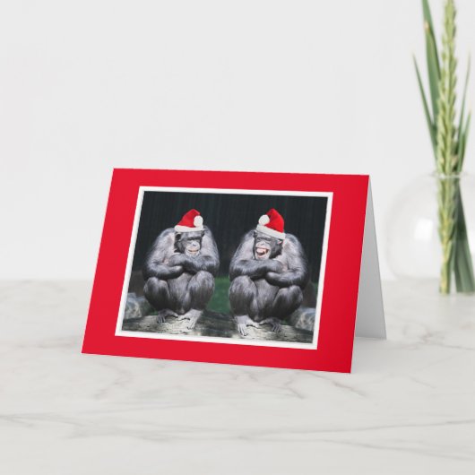 TWEE CHIMPS IN SANTA HATS CHRISTMAS CARD KAART (Voorkant)