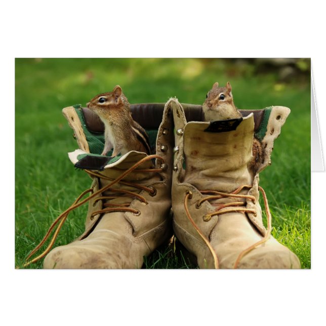 twee chipmunks in werklaarzen (Voorkant Horizontaal)