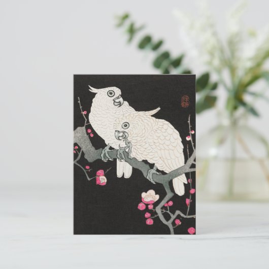 Twee Cockato en Plum Blossom door Ohara Koson Briefkaart (Staand voorkant)