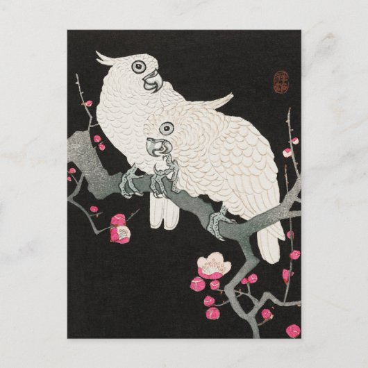 Twee Cockato en Plum Blossom door Ohara Koson Briefkaart (Voorkant)