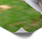 Twee Cockatoos Sweet Moments Poster (Hoek)