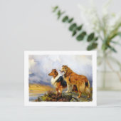 Twee collie Dogs boven een meer Briefkaart (Staand voorkant)