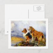 Twee collie Dogs boven een meer Briefkaart (Voorkant / Achterkant)