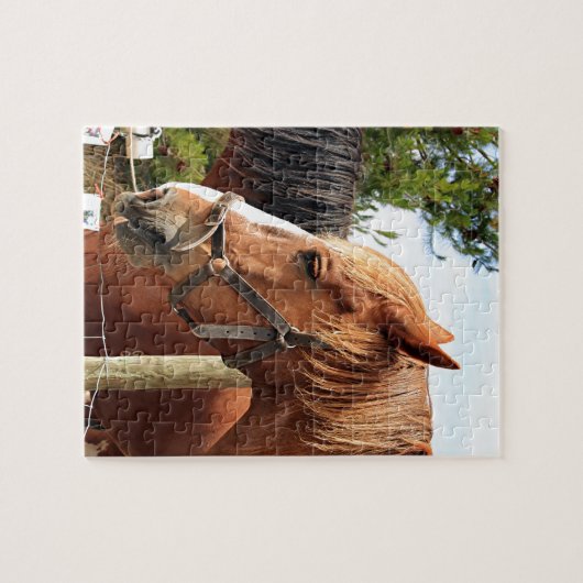 Twee conceptpaarden legpuzzel (Horizontaal)
