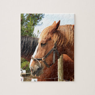 Twee conceptpaarden legpuzzel