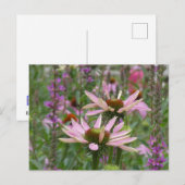 Twee Coneflowers & Wildflowers DIY Briefkaart (Voorkant / Achterkant)