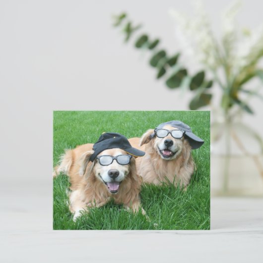 Twee Cool Golden Retrievers in Petten en zonnebril Briefkaart (Staand voorkant)
