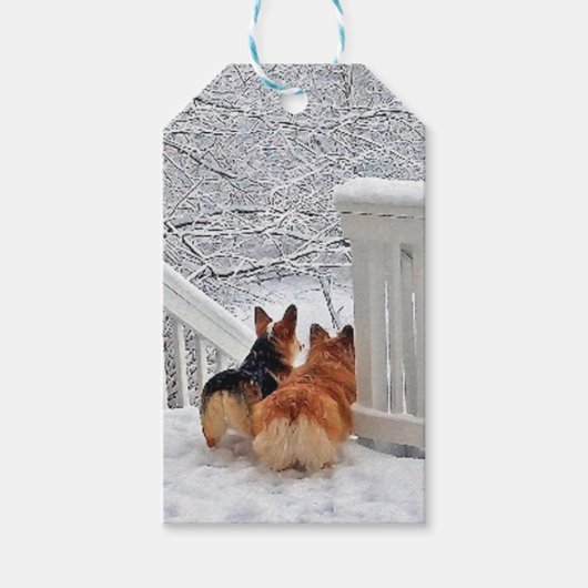 Twee Corgis in de winter Cadeaulabel (Voorkant)