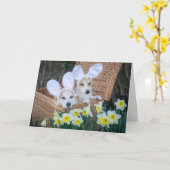 Twee Corgis in een Basket Easter wenskaart Kaart (Gele Bloem)