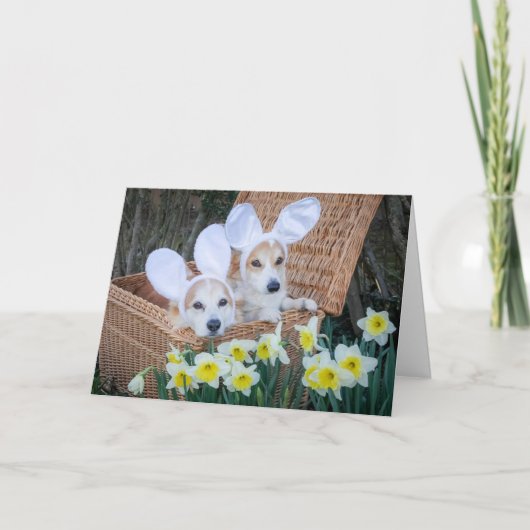 Twee Corgi's in een mand Pasen kaart (Voorkant)
