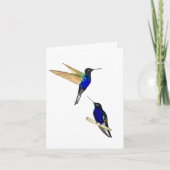 Twee Coronet Hummingbirds Wenskaart Kaart (Voorkant)