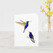 Twee Coronet Hummingbirds Wenskaart Kaart (Gele Bloem)