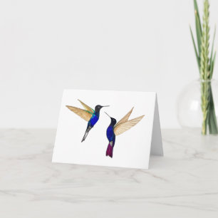 Twee Coronet Hummingbirds Wenskaart Kaart