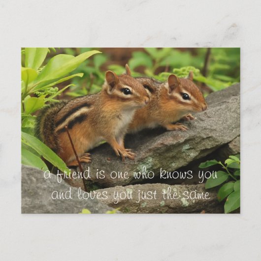 Twee Cute Baby Chipmunks Friend Quote Briefkaart (Voorkant)