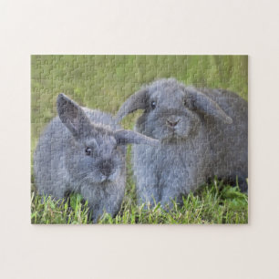 Twee Cute Baby Gray Holland Lop Bunny Rabbits Legpuzzel