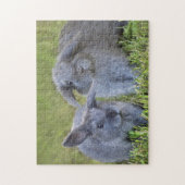 Twee Cute Baby Gray Holland Lop Bunny Rabbits Legpuzzel (Verticaal)