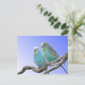 Twee Cute Budgerigar Birds DIY Briefkaart (Staand voorkant)