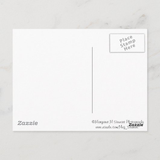 Twee Cute Chipmunk Babies Briefkaart (Achterkant)