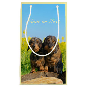 Twee Cute Dachshund Dogs Dackel Foto gepersonalise Klein Cadeauzakje