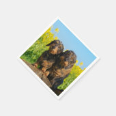 Twee Cute Dachshunds Dogs Dackel Friends Pet Foto Servetten (Hoek)