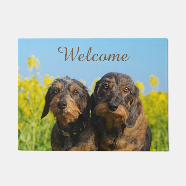 Twee Cute Dachshunds Dogs Dackel Friends - Welkom Deurmat (Voorkant)