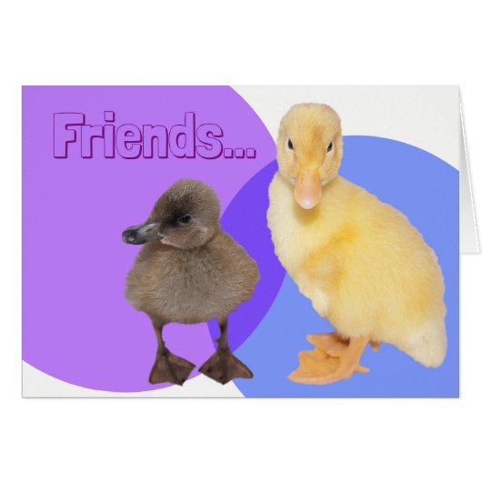 Twee Cute Ducklings Foto Friends Custom Text (Voorkant Horizontaal)