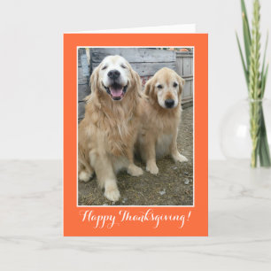 Twee Cute Golden Retriever Dogs Thanksgiving Feestdagen Kaart