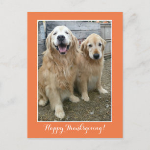 Twee Cute Golden Retriever Dogs Thanksgiving Feestdagenkaart