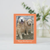 Twee Cute Golden Retriever Dogs Thanksgiving Feestdagenkaart (Staand voorkant)
