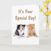 Twee Cute Kittens Birthday Kaart (Gele Bloem)