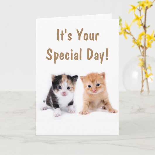 Twee Cute Kittens Birthday Kaart (Gele Bloem)