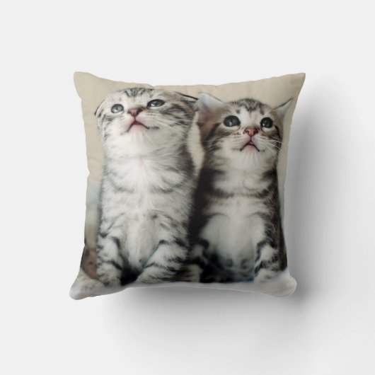 Twee Cute Kittens Kussen (Achterkant)