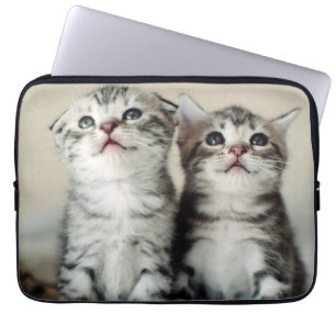 Twee Cute Kittens Laptop Sleeve