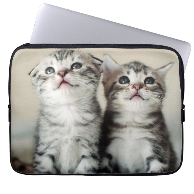 Twee Cute Kittens Laptop Sleeve (Voorkant)