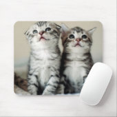 Twee Cute Kittens Muismat (Met muis)