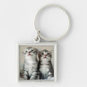 Twee Cute Kittens Sleutelhanger (Voorkant)
