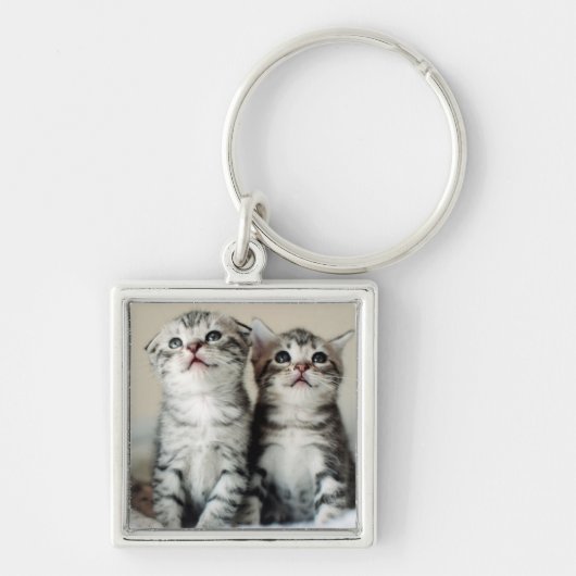 Twee Cute Kittens Sleutelhanger (Voorkant)
