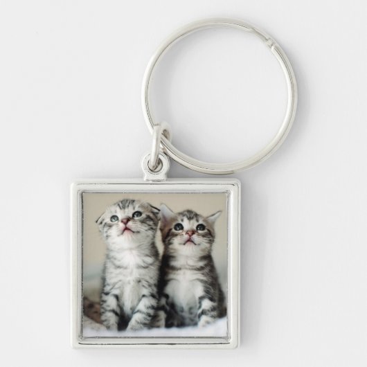 Twee Cute Kittens Sleutelhanger (Voorkant)